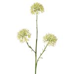 Kunst Allium ALIKIO, weiß, 65cm, Ø7cm