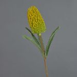 Deko Kunstblume Banksia robur EREDIN, gelb-grün, 70cm, Ø7cm