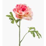 Künstliche Ranunkel KRISTY, rosa-pink, 60cm, Ø10cm