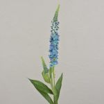 Dekoblume Ehrenpreis LORETA, hellblau, 75cm, Ø4cm