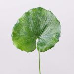 Künstliches Geranien Blatt HEIDEGARD, grün, 38cm, Ø13cm