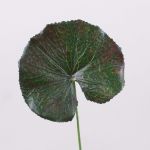 Künstliches Geranien Blatt HEIDEGARD, grün-rot, 38cm, Ø11cm