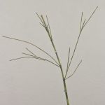 Kunst Bambuszweig HARUTO, 95cm