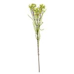 Kunst Zweig Wachsblume MEDEA, grün-pink, 80cm, Ø6cm