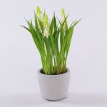 Kunstblume Traubenhyazinthe NARMADA im Zementtopf, weiß, 20cm