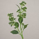 Kunst Viburnum Zweig LABIBA mit Knospen, grün, 60cm, Ø2,5-5cm