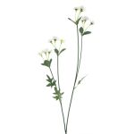 Künstlicher Zweig Gänseblümchen KASANI, creme, 60cm