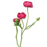 Dekoblumen Zweig Ranunkel JIXIANG, pink, 50cm