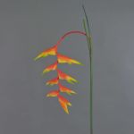 Kunstblume Heliconia Blüte MEIHUA, orange-gelb-grün, 95cm, Ø30cm