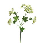 Plastik Zweig Euphorbia marginata MENGWEN, Blüten, creme-grün, 65cm