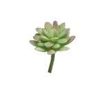 Kunst Sedum rubrotinctum AOLUO auf Steckstab, grün-rot, 16cm