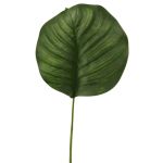 Dekoblatt Calathea Orbifolia ZICHEN, grün, 45cm