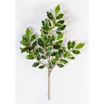Kunst Ficus Benjamini Zweig AJITH, grün-weiß, 45cm