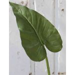 Künstliches Zantedeschia Blatt YELLA, grün, 85cm