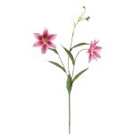 Deko Tigerlilie DUNKA, rosa-pink, 70cm