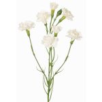 Dekozweig Nelke PIARA, weiß, 60cm, Ø3-5cm