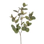 Künstlicher Zweig Eukalyptus EMMENDA, grün, 80cm
