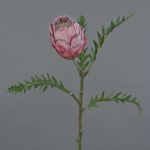 Künstliche Protea BREGANSA, altpink, 65cm, Ø7cm