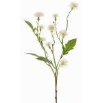 Deko Wiesen-Flockenblume HOLLA, weiß, 55cm, Ø3-4cm