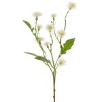 Deko Wiesen-Flockenblume HOLLA, weiß, 55cm, Ø3-4cm