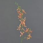 Künstlicher Blumenzweig Cattleya Orchidee TRASSA, orange-gelb-rot, 80cm, Ø4-8cm