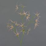 Künstliche Tweedia solanoides Zweig TOSAR, rosa-grün, 70cm, Ø6-9cm