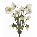 Deko Christrose HALLA zum Stecken, weiß, 30cm, Ø7cm