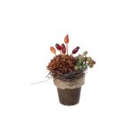 Deko Gesteck Dahlie, Hagebutten, Trauben MUSAN, Dekotopf, rot-orange-grün, 10cm, Ø7cm
