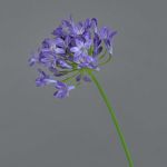 Blume künstlich Agapanthus PHILINA, lila, 75cm, Ø14cm