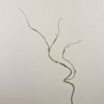 Plastik Korkenzieherweide Zweig TONY, grün-braun, 90cm