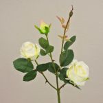 Samt Rose DELILAH, creme-weiß, 55cm, Ø6cm