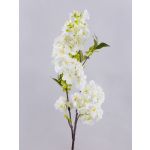 Kunst Kirschblütenzweig MATSUDA mit Blüten, creme-weiß, 80cm, Ø6-11cm