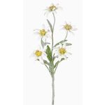 Kunst Alpen Edelweiß SOPHIA, weiß, 40cm, Ø5-6cm