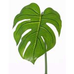Deko Philodendron Monstera Deliciosa Blatt LANDER, 55cm