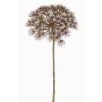 Plastik Bärenklau ANSARI, Trockenoptik, braun, 80cm, Ø22cm