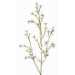 Kunst Wachsblume NIANG, creme, 80cm, Ø1,5-2,5cm
