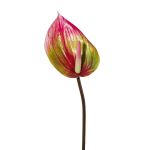 Kunstblume Flamingoblume GRUNT, grün-rosa, 75cm