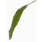 Deko Keulenlilien Blatt ELARA, grün, 90cm