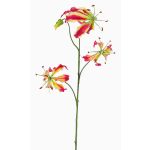 Deko Gloriosa TIANA, pink-gelb, 85cm, Ø9-10cm