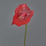 Kunstblume Flamingoblume MOIRA, rot, 75cm, 13x18cm