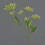 Deko Hartriegel Zweig JOSIA mit Knospen, hellgrün, 50cm, Ø4-7cm