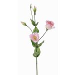 Kunst Lisianthus JUDIKA, rosa-weiß-grün, 70cm, Ø6-7cm