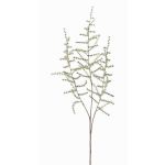 Deko Asparagus acutifolius Zweig JOCHEN, grün, 70cm