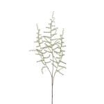 Deko Asparagus acutifolius Zweig JOCHEN, grün, 70cm