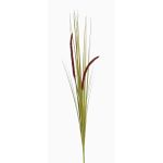 Deko Fuchsschwanzgras JILL, Stecker, Rispen, grün-violett, 90cm