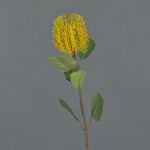 Künstliche Blume Banksia robur CONAKIR, gelb, 55cm, Ø6,5cm