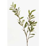 Deko Olivenzweig PARKER mit Früchten, 80cm