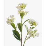 Hortensie unecht ALAZNE, creme, 75cm