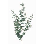 Eukalyptus Kunstzweig CALLIOPE, grün-grau, 115cm