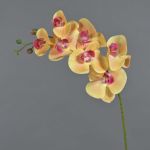 Phalaenopsis Orchideezweig künstlich NEITH, orange-pink, 75cm, Ø7-10,5cm